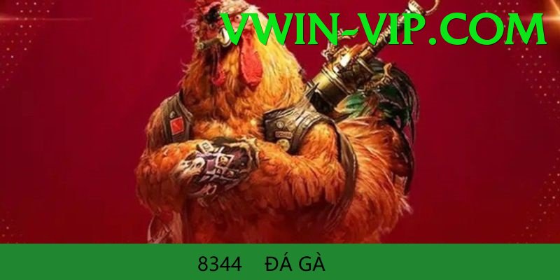 Đá Gà Trực Tiếp - vwin - Nhận code